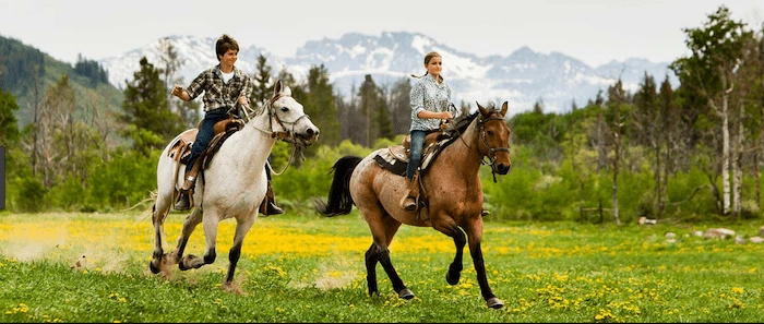 Confident plus-size woman riding Swansea a horse through a field with a smile on her face.
